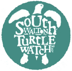 South Walton Turtle Watch